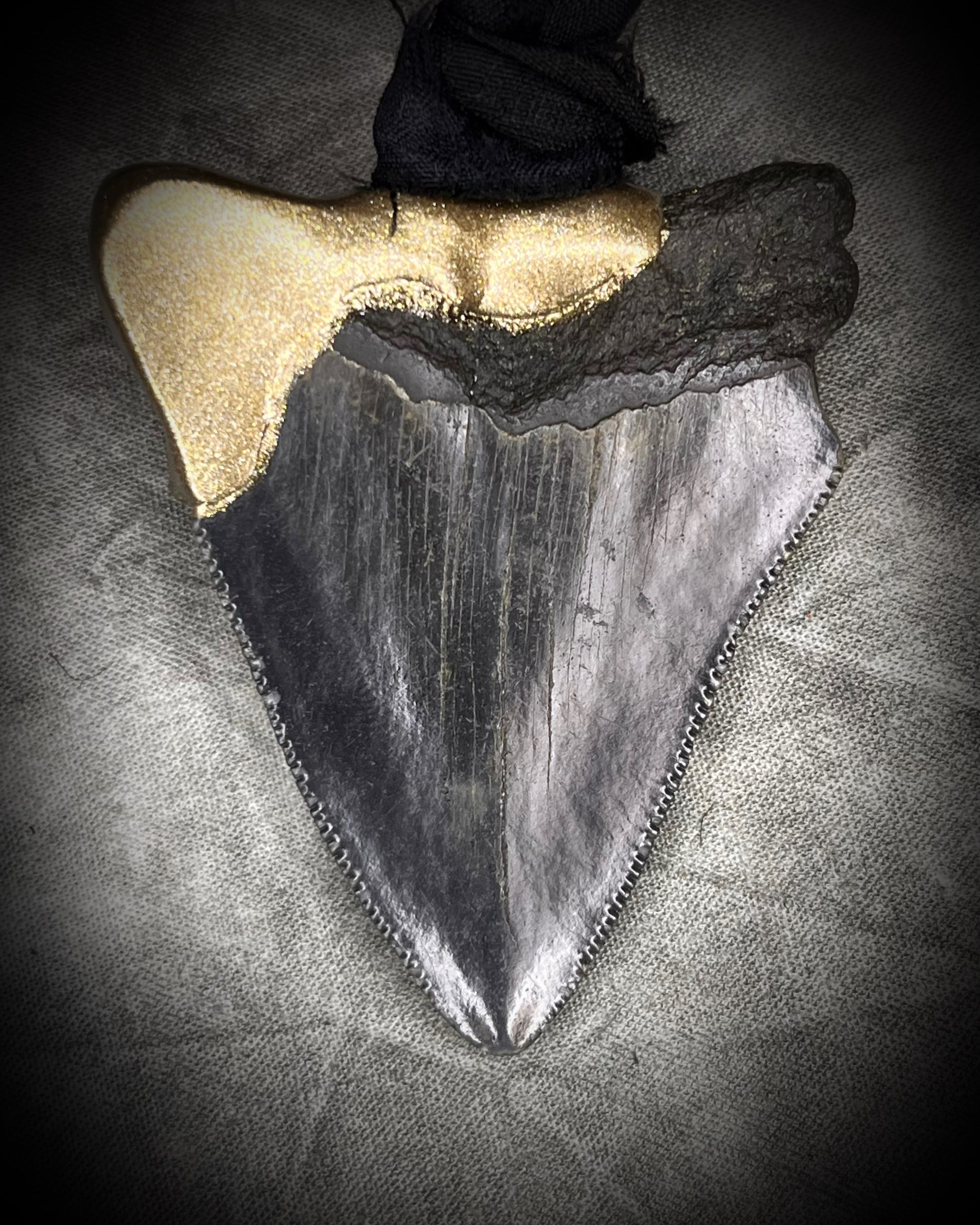 Handmade genuine fossil Megalodon Talisman necklace with bright pink Rubellite Tourmaline gemstones. Hung from elegant black Silk for summer adventures and magic, the perfect gift for her. 
