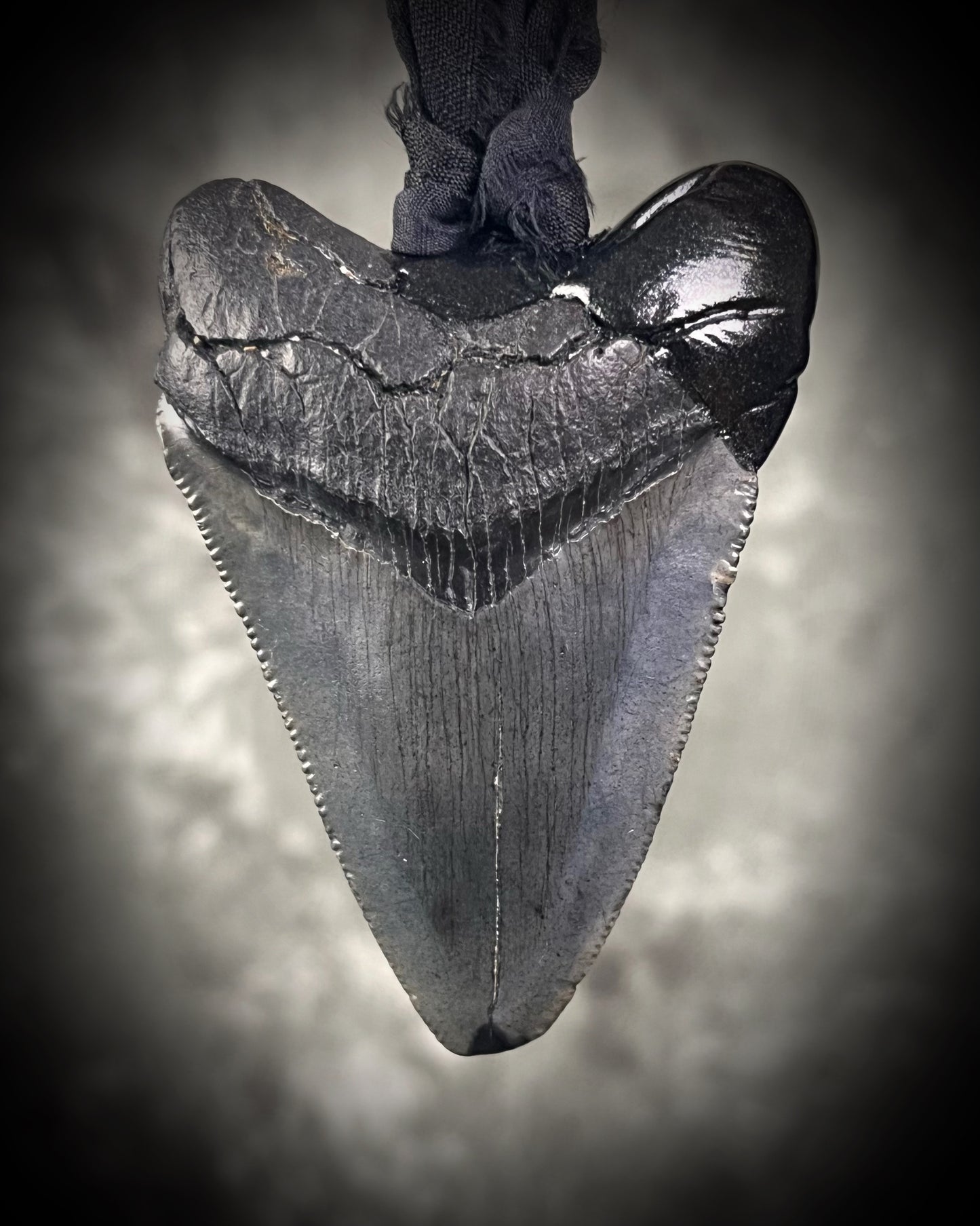 Handmade megalodon tooth talisman with black finish and recycled black silk cord, featuring a fossilized prehistoric shark tooth 