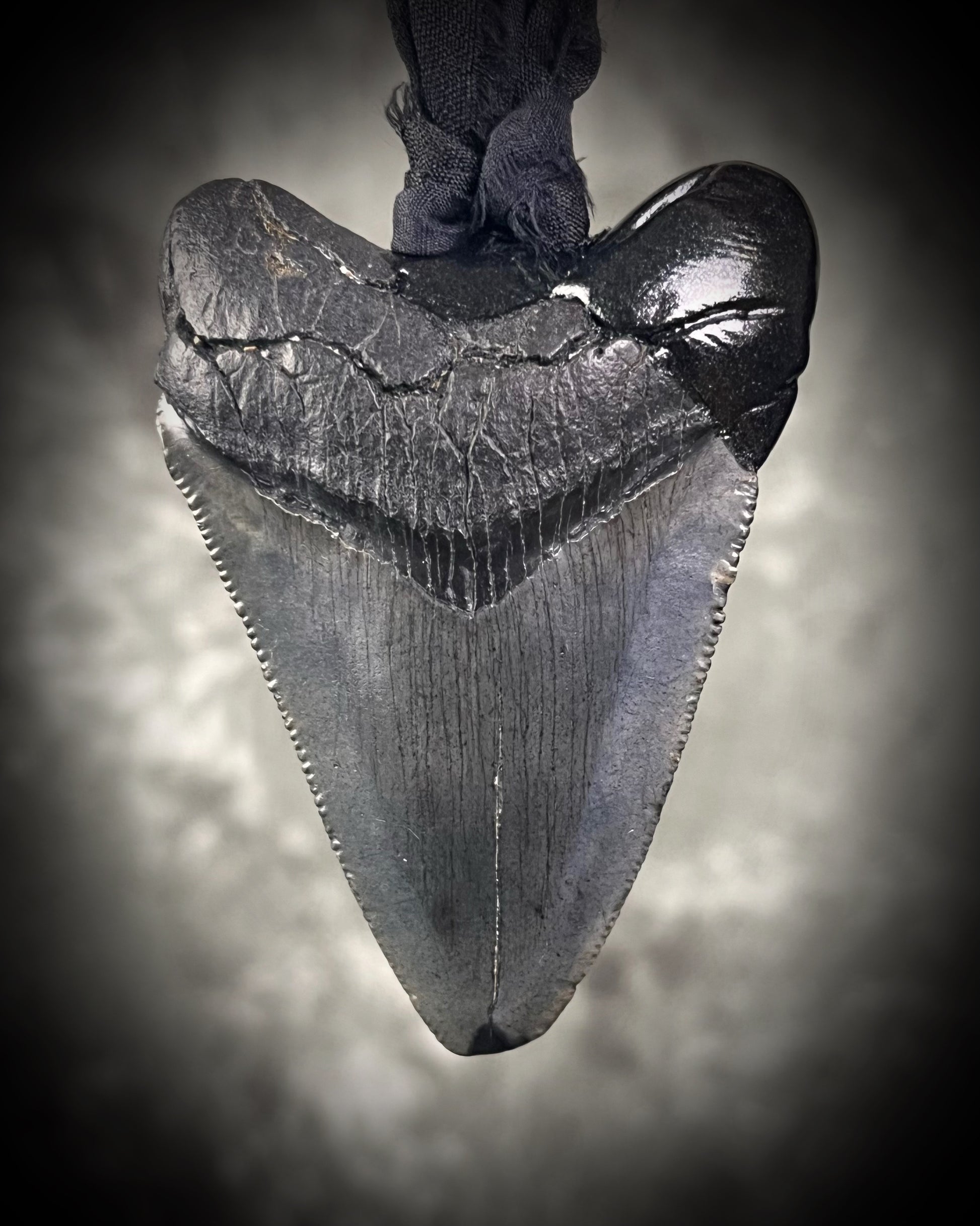 Handmade megalodon tooth talisman with black finish and recycled black silk cord, featuring a fossilized prehistoric shark tooth 
