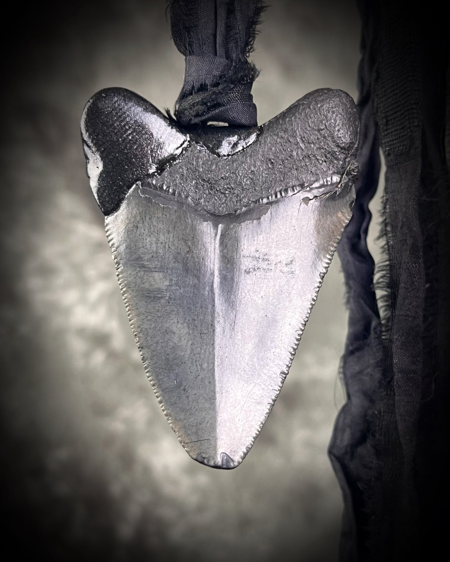Handmade megalodon tooth talisman with black finish and recycled black silk cord, featuring a fossilized prehistoric shark tooth 