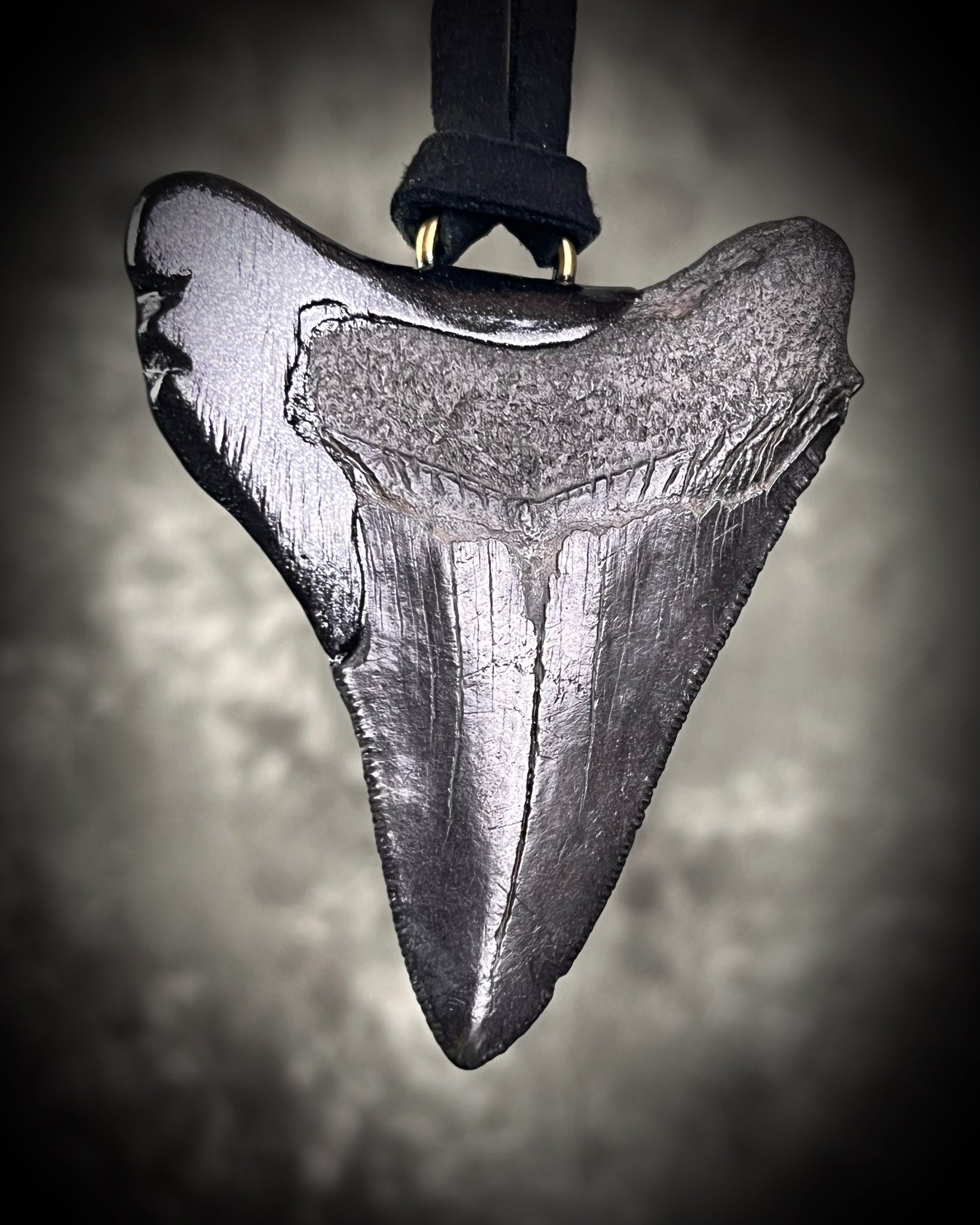 Handmade megalodon tooth talisman with natural turquoise accents, black finish, and black leather cord, featuring a fossilized prehistoric shark tooth transformed into a bold statement necklace.