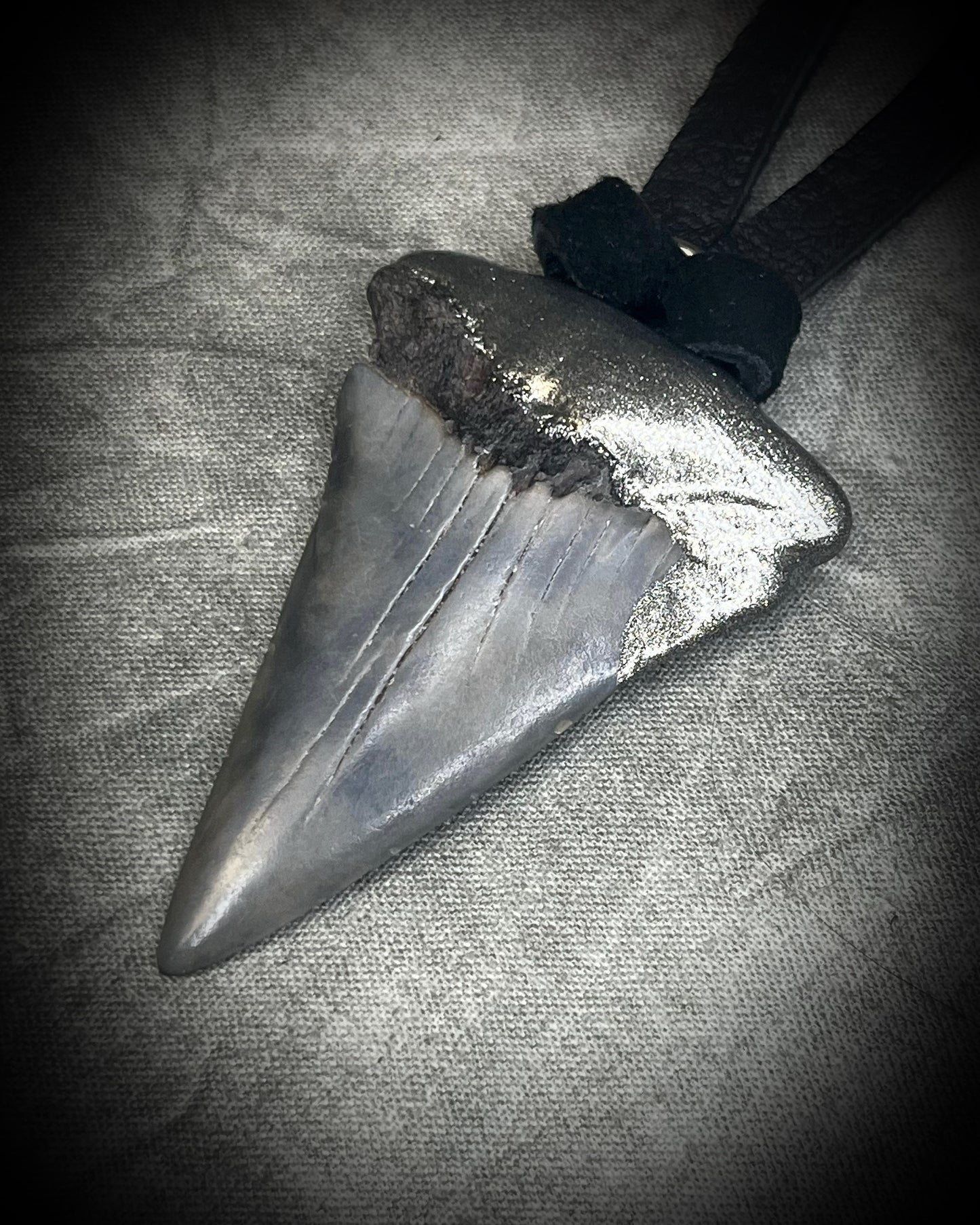 Mako shark tooth fossil talisman with gunmetal silver finish on black leather, handmade by Become Spellbound in Baltimore, Maryland.