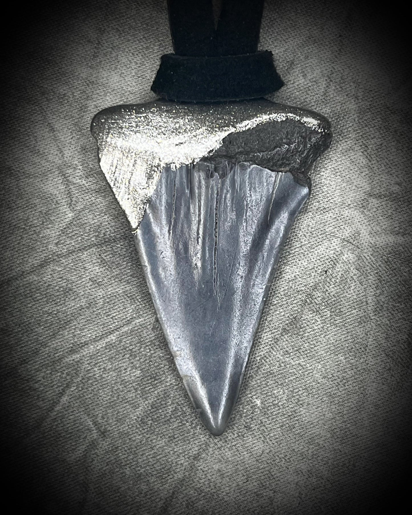 Mako shark tooth fossil talisman with gunmetal silver finish on black leather, handmade by Become Spellbound in Baltimore, Maryland.