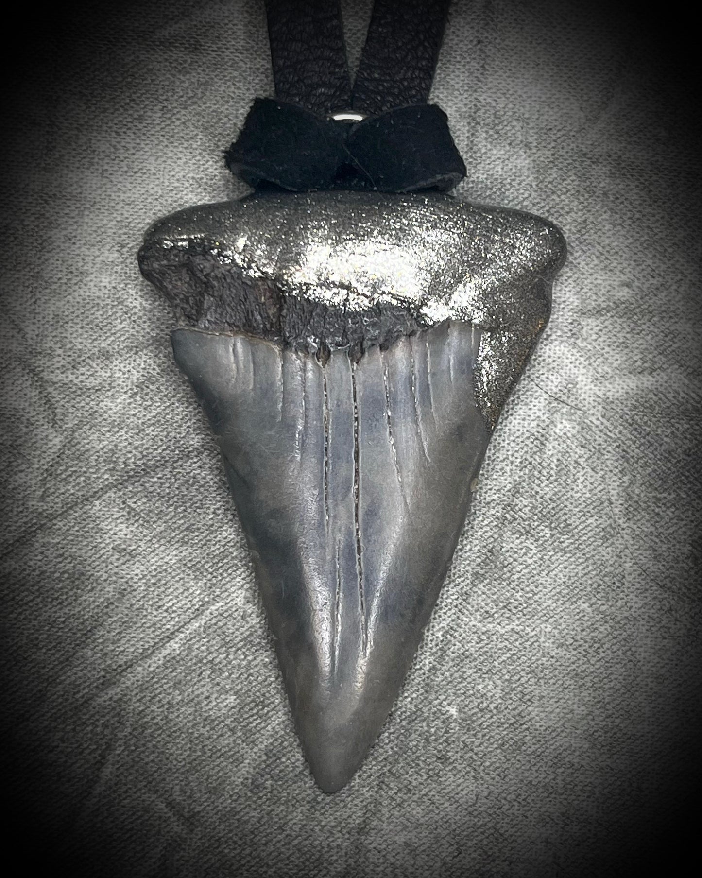 Mako shark tooth fossil talisman with gunmetal silver finish on black leather, handmade by Become Spellbound in Baltimore, Maryland.