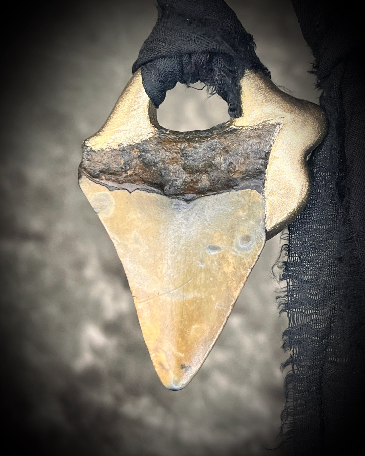 Megalodon Fossil Tooth & Chrysoprase Crystal Talisman on Black Recycled Silk. Handmade Mermaid treasure oceanic jewelry for her. 