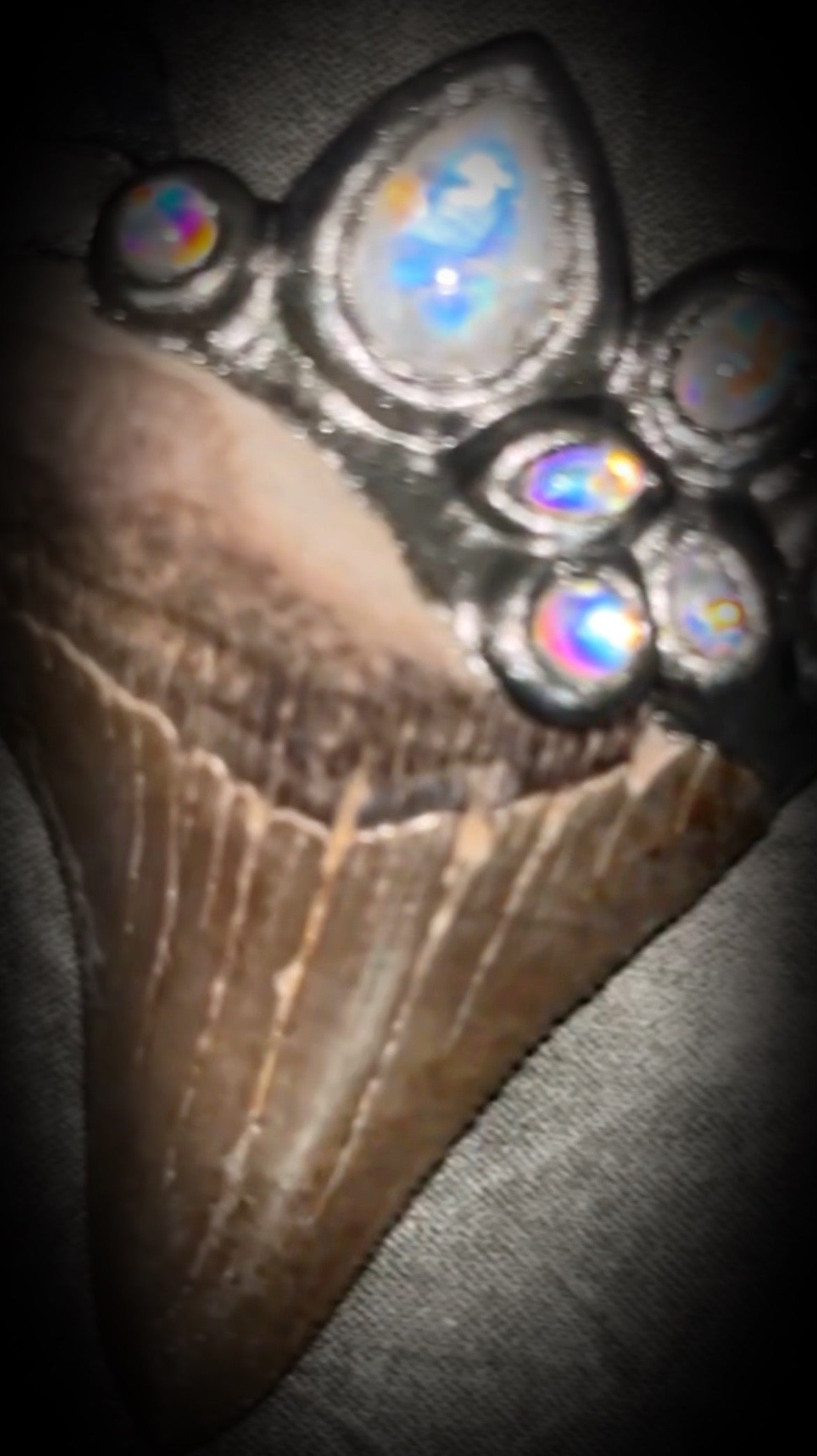 Megalodon shark tooth fossil handcrafted crystal talisman featuring rainbow moonstones in silver, hung from recycled slate gray silk. Beach wedding or beach photoshoot, cosplay, fantasy film costume or everyday enchantment!