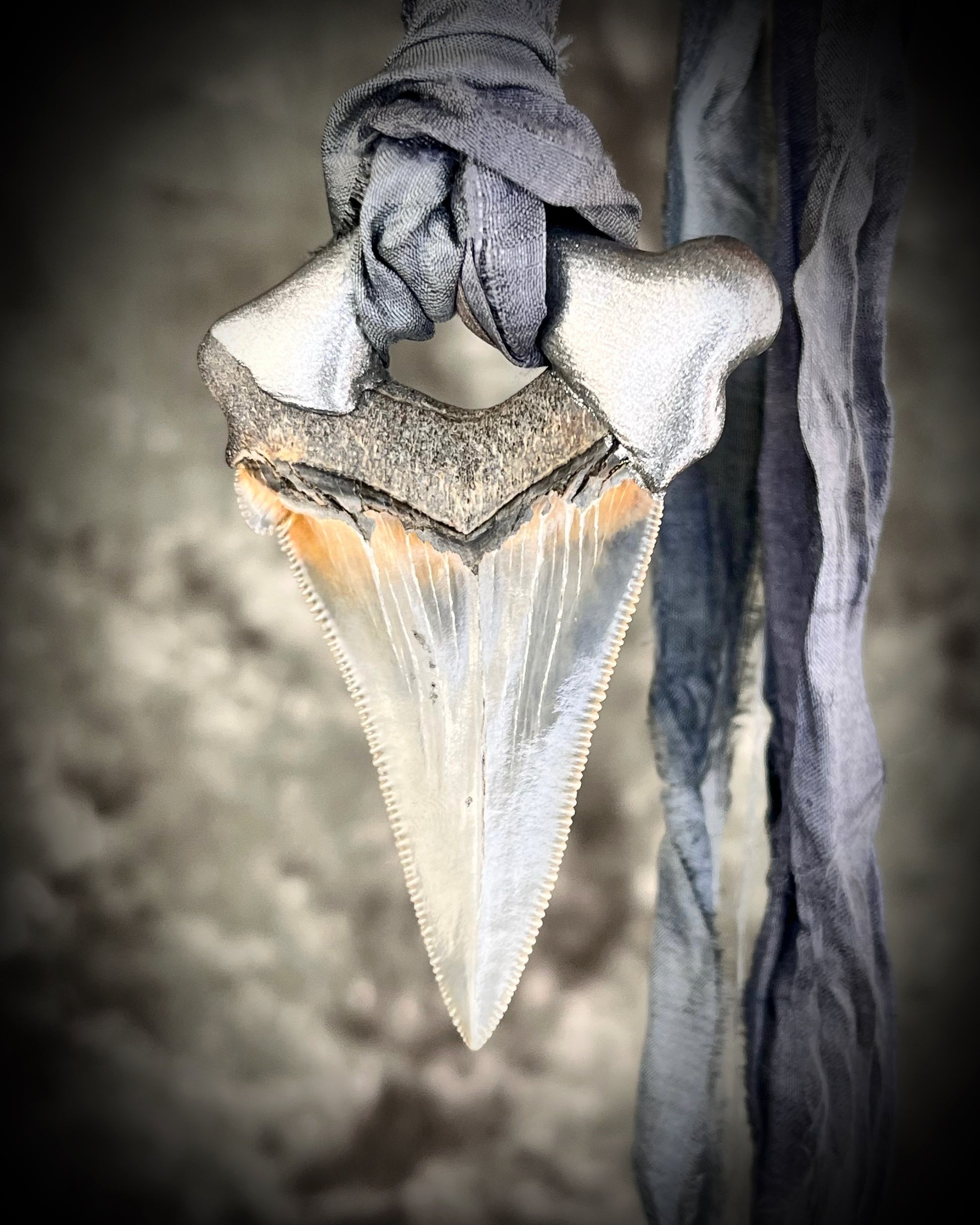 Megalodon shark tooth fossil handcrafted crystal talisman featuring rainbow moonstones in silver, hung from recycled slate gray silk. Beach wedding or beach photoshoot, cosplay, fantasy film costume or everyday enchantment!