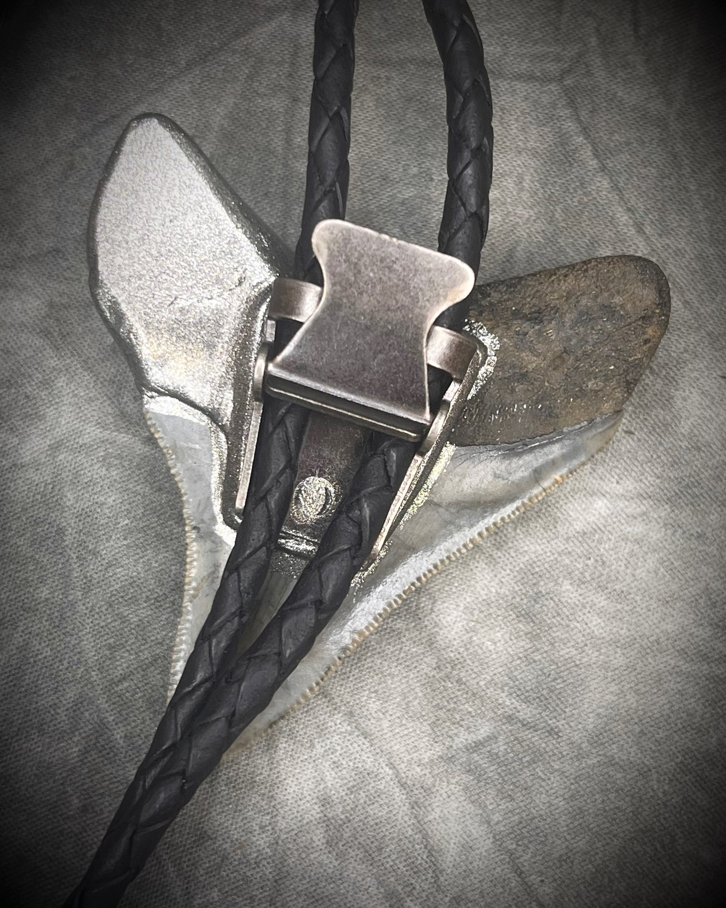 Megalodon fossil shark tooth bolo tie with gunmetal silver hardware on black leather, Western-inspired fossil statement jewelry handmade in Baltimore Maryland. Back clasp view. 
