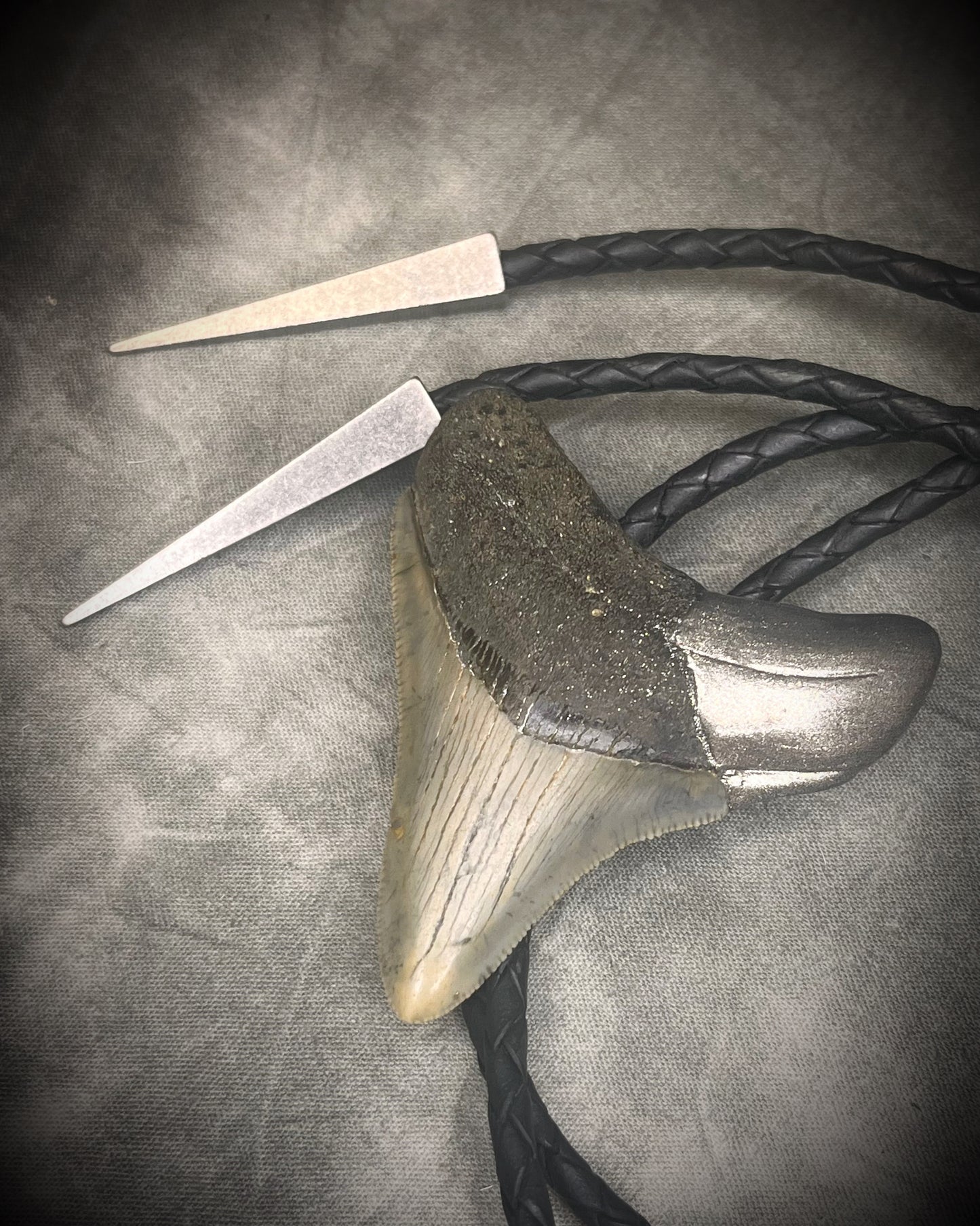 Megalodon fossil shark tooth bolo tie with gunmetal silver hardware on black leather, Western-inspired fossil statement jewelry handmade in Baltimore Maryland. Details.