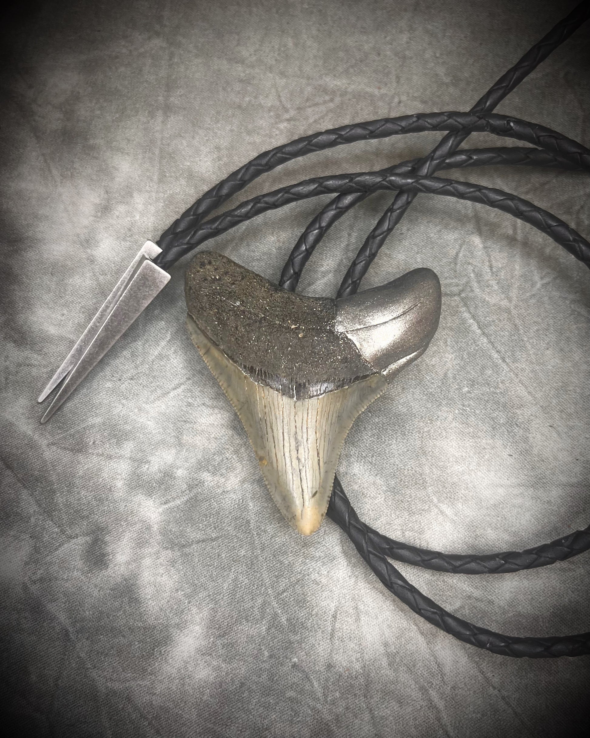 Megalodon fossil shark tooth bolo tie with gunmetal silver hardware on black leather, Western-inspired fossil statement jewelry handmade in Baltimore Maryland. Details.
