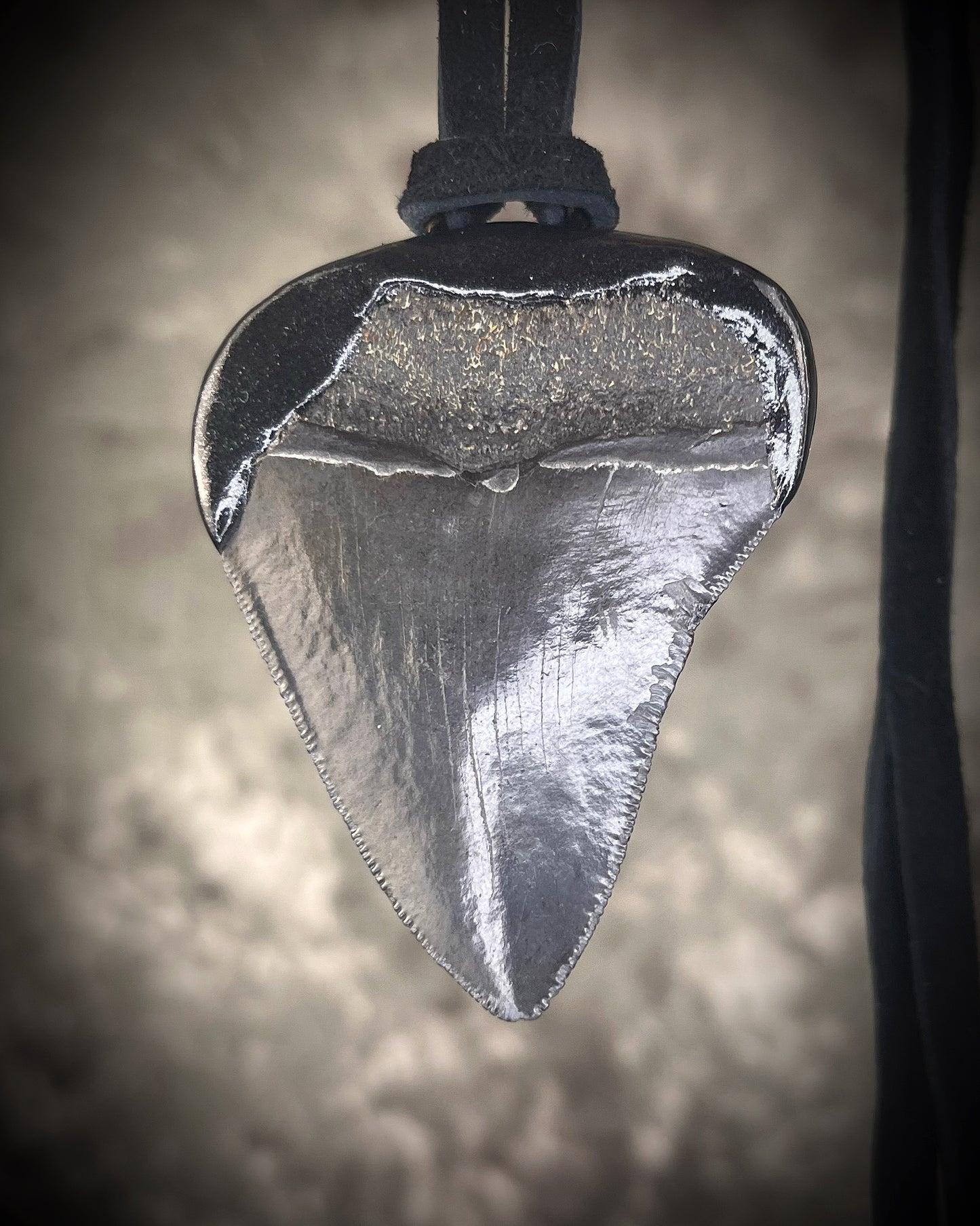 Megalodon fossil shark tooth necklace with chrysocolla stone on black leather, statement crystal talisman jewelry for protection and communication, handmade in Baltimore Maryland