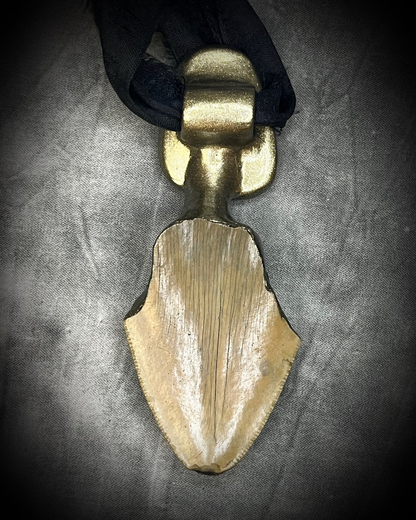 Megalodon fossil tooth talisman with sculptural turquoise in blue, moss green and mustard yellow, gold finish and black recycled silk.