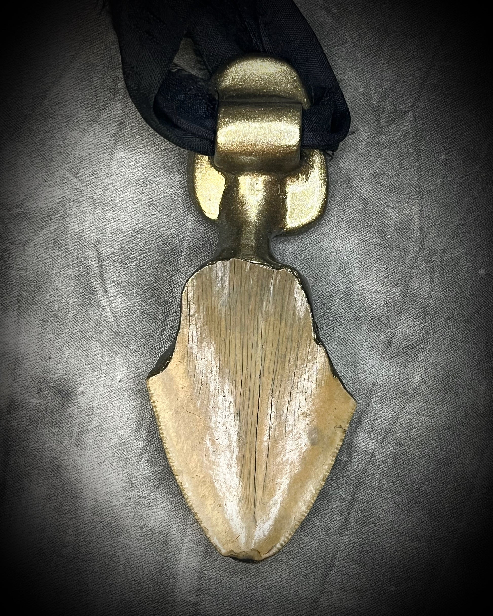 Megalodon fossil tooth talisman with sculptural turquoise in blue, moss green and mustard yellow, gold finish and black recycled silk.