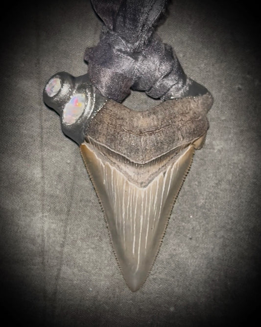 Megalodon shark tooth fossil handcrafted crystal talisman featuring rainbow moonstones in silver, hung from recycled slate gray silk. Beach wedding or beach photoshoot, cosplay, fantasy film costume or everyday enchantment!