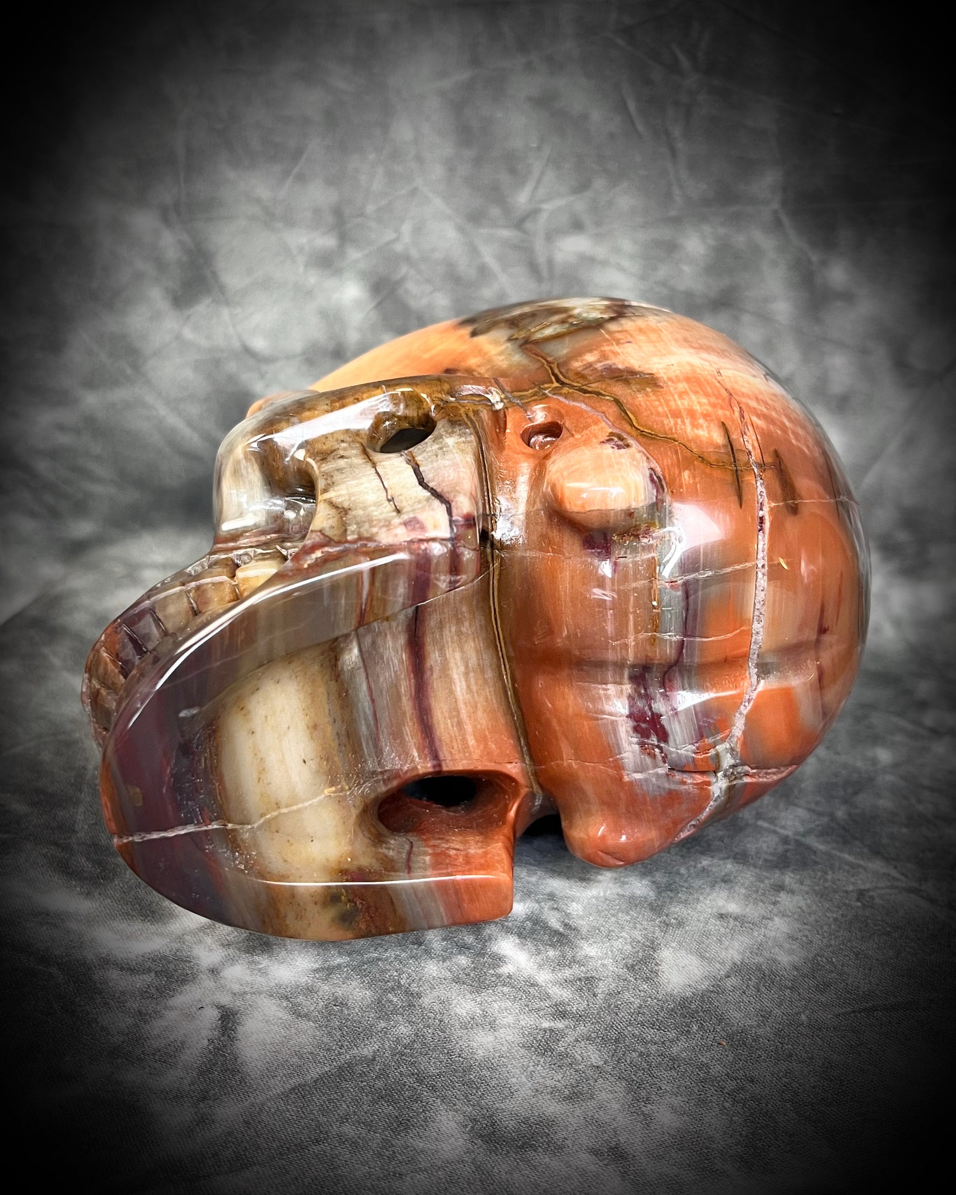 Petrified Wood Crystal skull with rainbows of red and earthy browns. 5" extra large crystal skull for grounding, meditation, gifting, manifestation and magic.