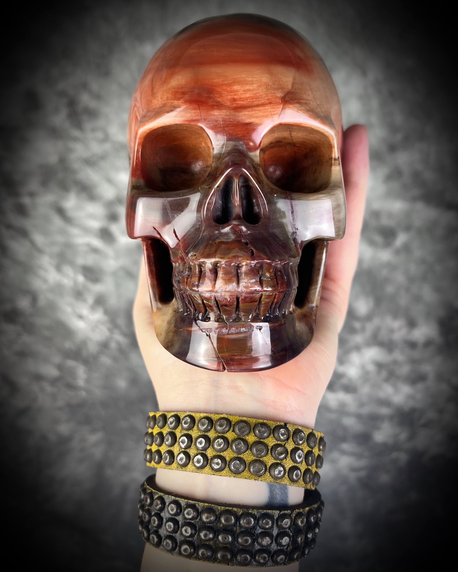 Petrified Wood Crystal skull with rainbows of red and earthy browns. 5" extra large crystal skull for grounding, meditation, gifting, manifestation and magic.