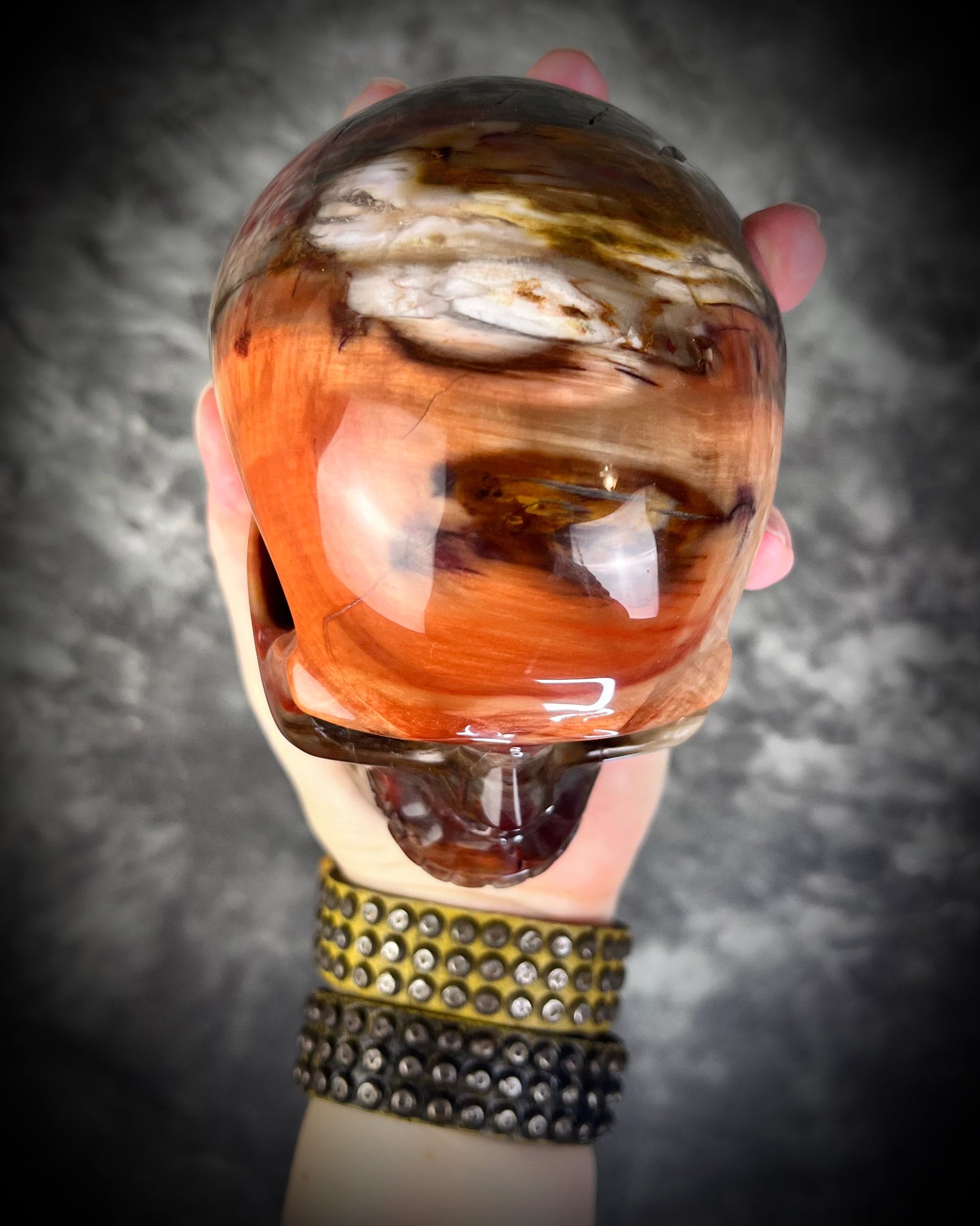 Petrified Wood Crystal skull with rainbows of red and earthy browns. 5" extra large crystal skull for grounding, meditation, gifting, manifestation and magic.