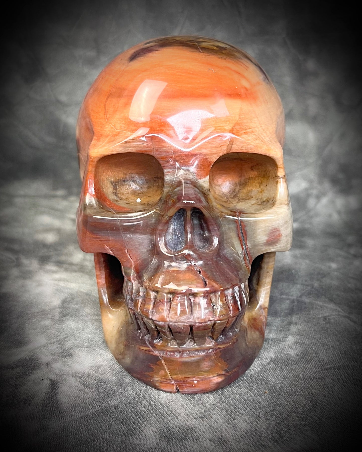 Petrified Wood Crystal skull with rainbows of red and earthy browns. 5" extra large crystal skull for grounding, meditation, gifting, manifestation and magic.