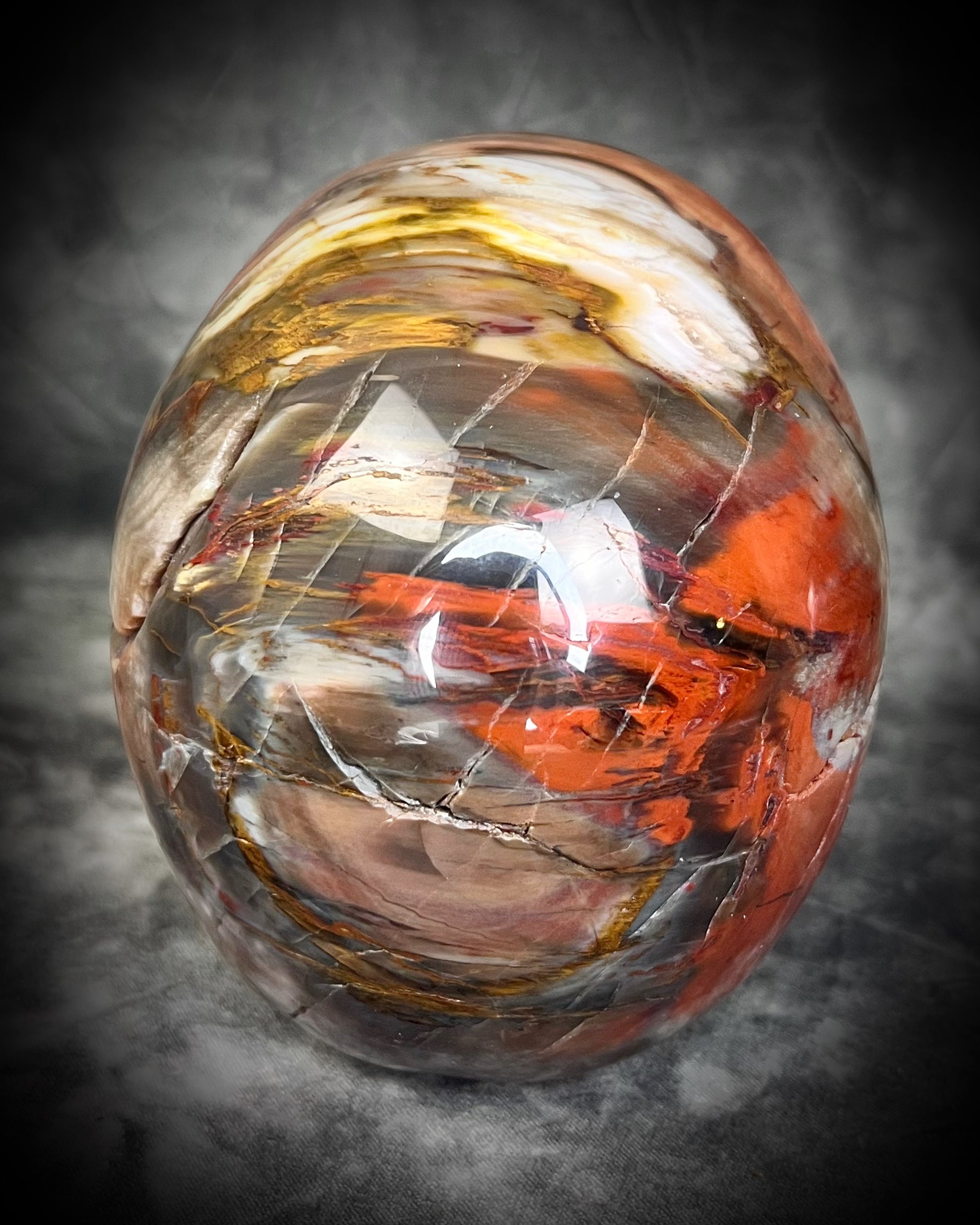 Petrified Wood Crystal skull with rainbows of red and earthy browns. 5" extra large crystal skull for grounding, meditation, gifting, manifestation and magic.