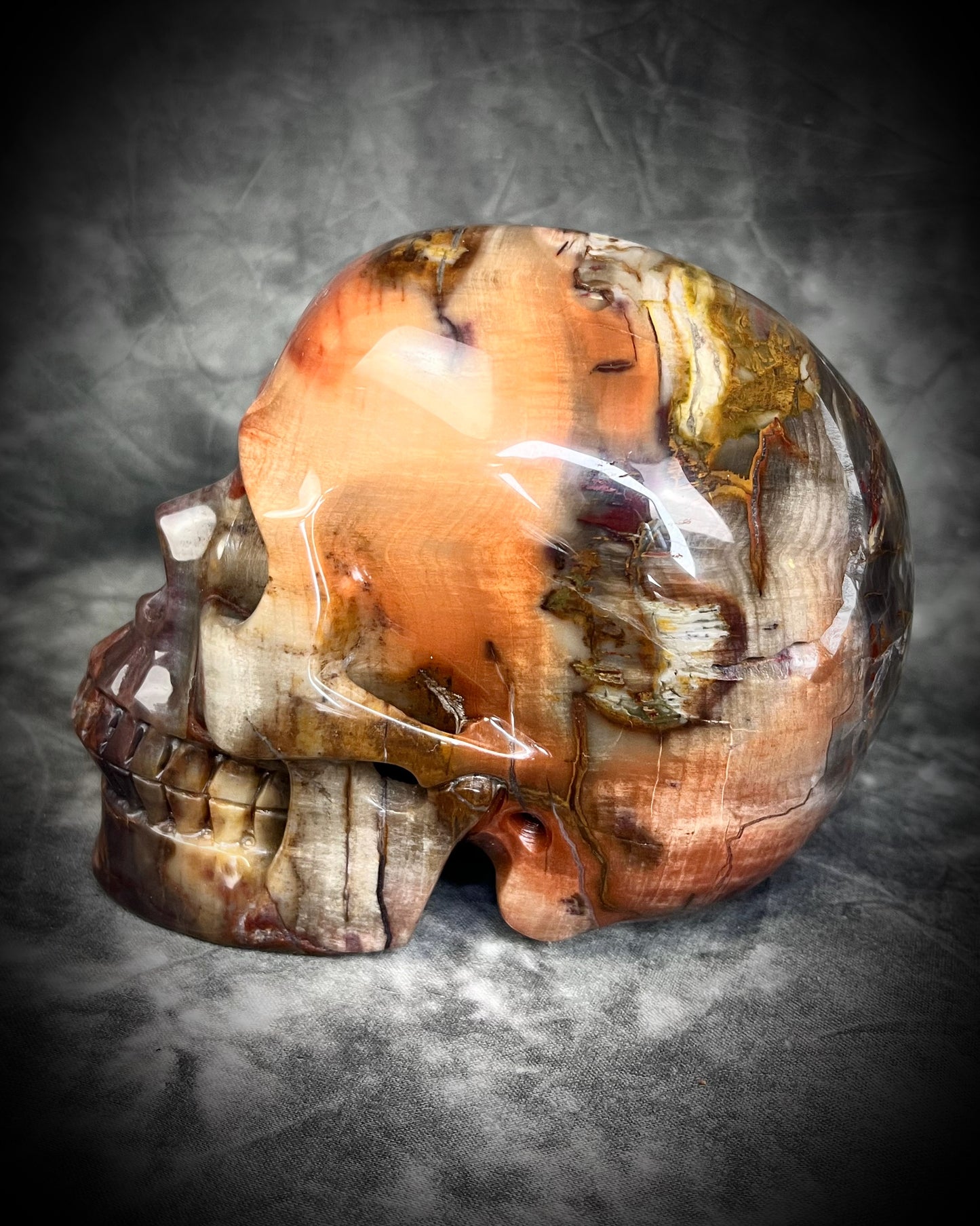 Petrified Wood Crystal skull with rainbows of red and earthy browns. 5" extra large crystal skull for grounding, meditation, gifting, manifestation and magic.