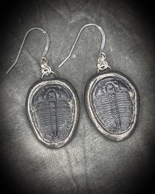 Trilobite Fossil Earrings in Gunmetal Silver Finish, ancient natural history gift for her. 
