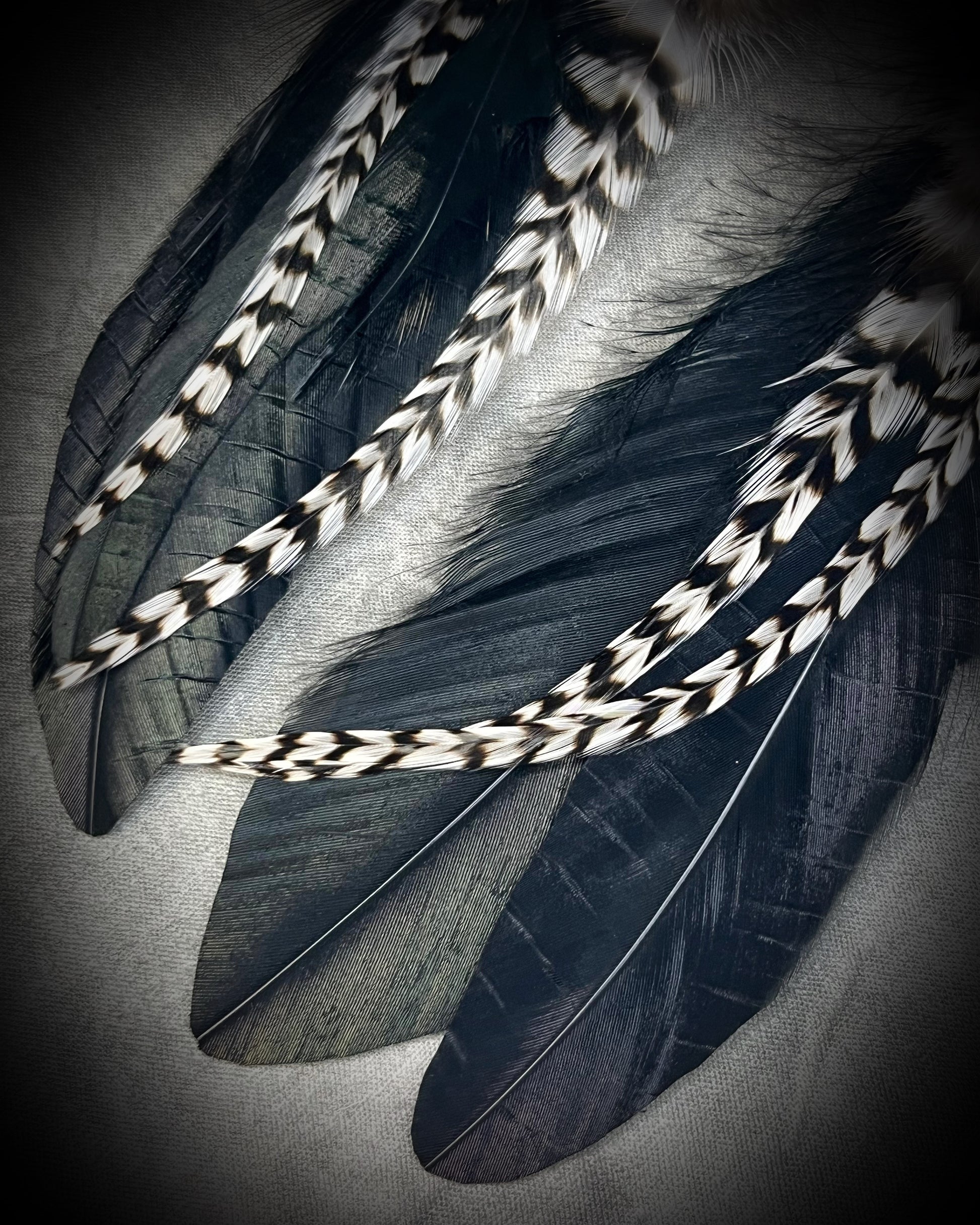 Turquoise and feather earrings with natural blue-green stone, gold finish, and hypoallergenic brass huggie hooks, handmade by Become Spellbound.