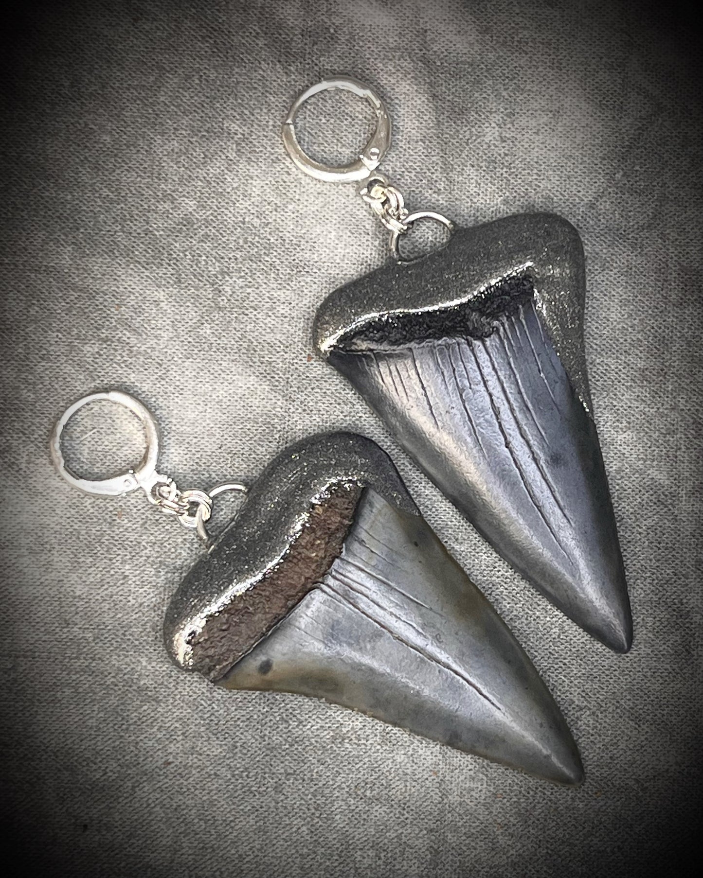 XL mako shark tooth fossil earrings in silver finish with sterling-plated huggie hooks, ocean-inspired statement fossil jewelry handmade in Baltimore Maryland