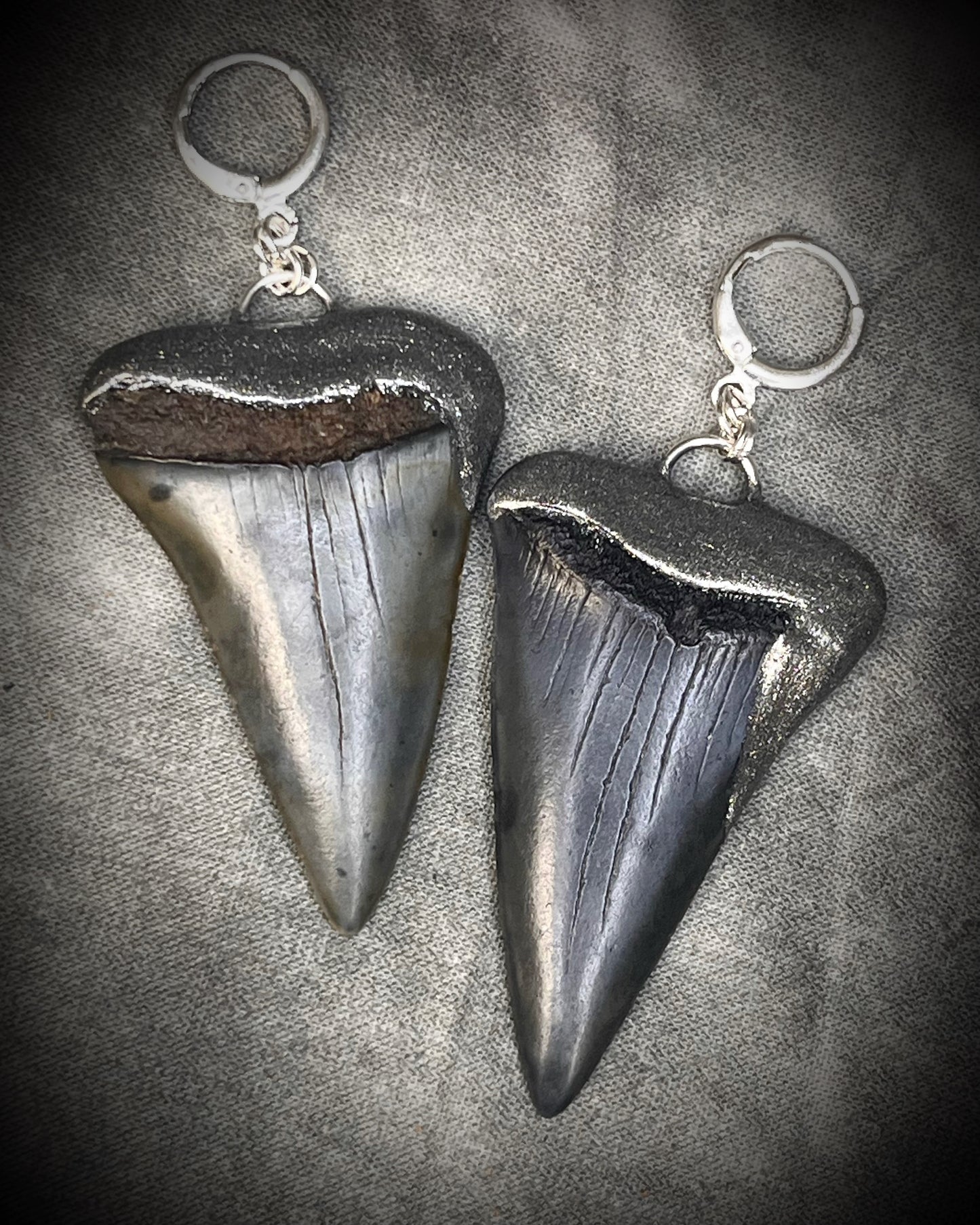 XL mako shark tooth fossil earrings in silver finish with sterling-plated huggie hooks, ocean-inspired statement fossil jewelry handmade in Baltimore Maryland