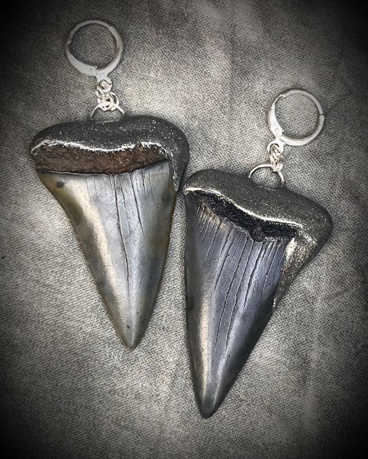 XL mako shark tooth fossil earrings in silver finish with sterling-plated huggie hooks, ocean-inspired statement fossil jewelry handmade in Baltimore Maryland