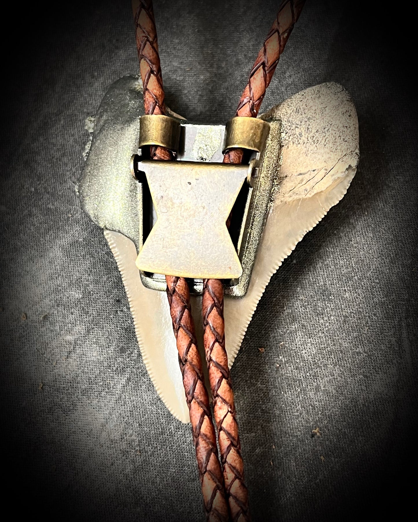 A prehistoric Megalodon tooth bolo tie adorned with shimmering Pyrite crystals on soft brown bolo leather. Maximalist Western style trend holiday gift for him!
