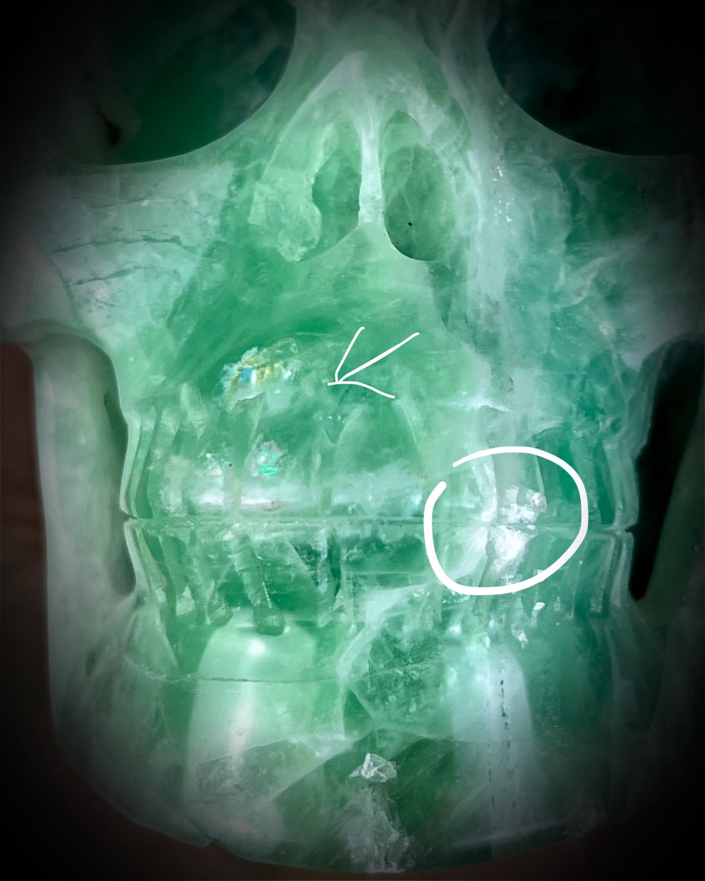 Large 5-inch green fluorite crystal skull with layered green bands and polished carved features.