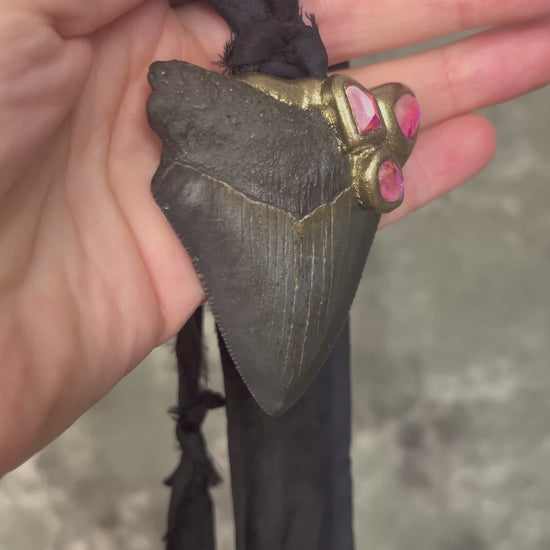 Handmade genuine fossil Megalodon Talisman necklace with bright pink Rubellite Tourmaline gemstones. Hung from elegant black Silk for summer adventures and magic, the perfect gift for her. 