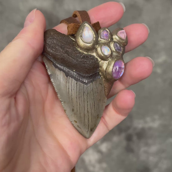 Fantasy inspired handmade Megalodon Fossil Shark Tooth Talisman necklace with Moonstone, Spinel, Tourmaline and brown Leather for meditation, spiritual practice and everyday magic. 