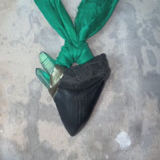 Video of Ancient megalodon fossil tooth necklace with green aura quartz points, hung from sustainable green recycled silk. Gemstone fantasy jewelry for the wild-hearted and fearless. Handmade jewelry gift for her holiday 2025.